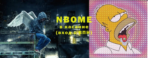 индика Абинск