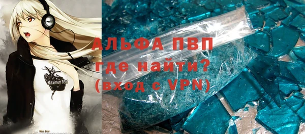 сатива Галич