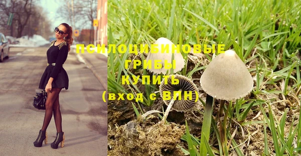 СК Абаза