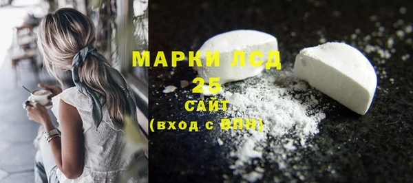 индика Абинск