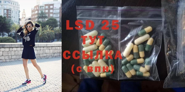 индика Абинск