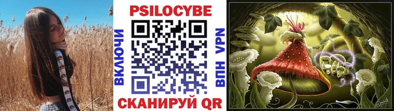 Галлюциногенные грибы Psilocybe  Азов 