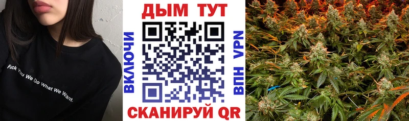 Канабис OG Kush  Азов 